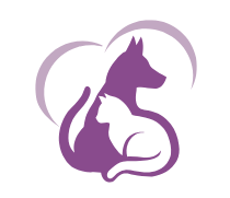 Concorddoggrooming Image
